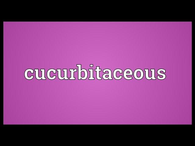 Cucurbitaceous Meaning