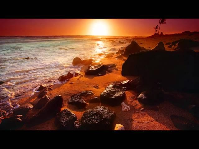 Temper - The Beach
