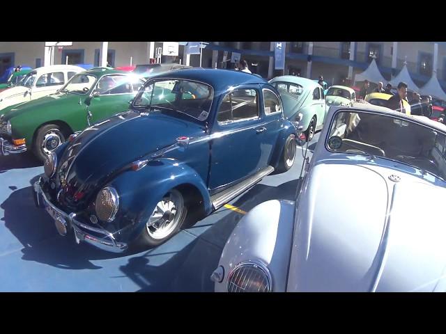 VW_Treffen_2017_2