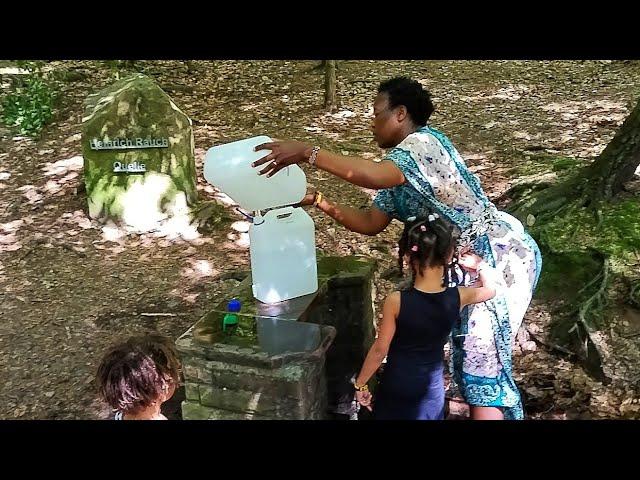 Kenyan Traditional Way Of Living In Germany || Harvesting Fresh Strawberries