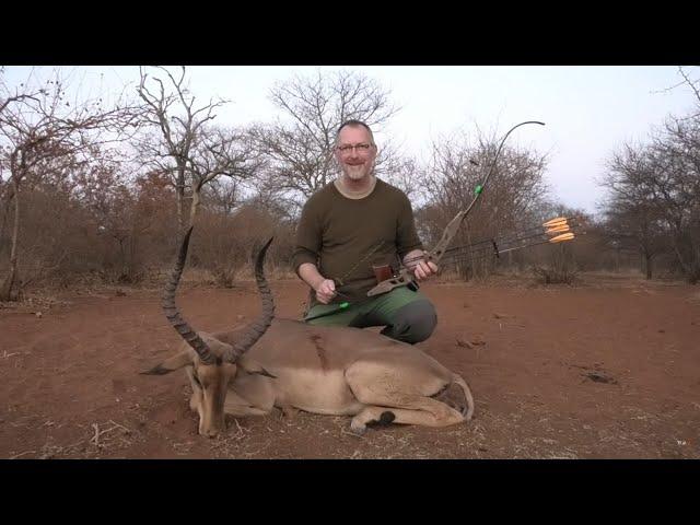 Big Impala ram with a recurve - Tales From the Willows - Sofala Safaris - Traditional Bowhunting