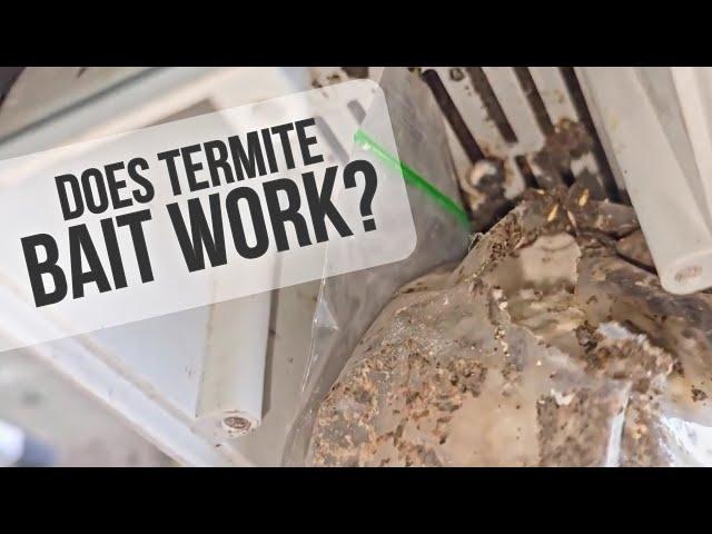 Termite Baiting Experiencd