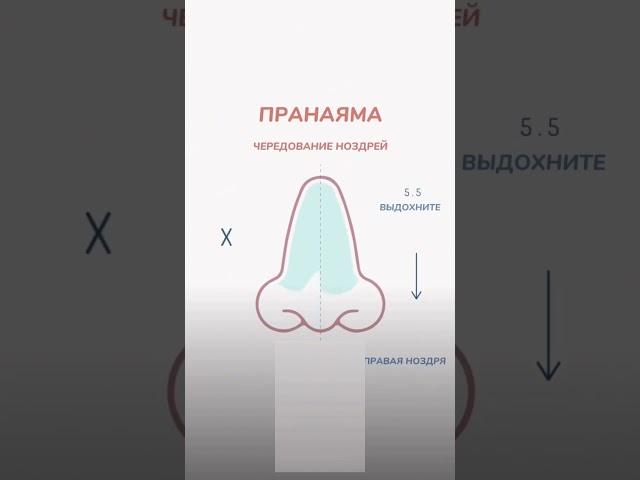 Дыхание для расслабления и концентрации. Занятия по йоге на канале #йога #пранаяма