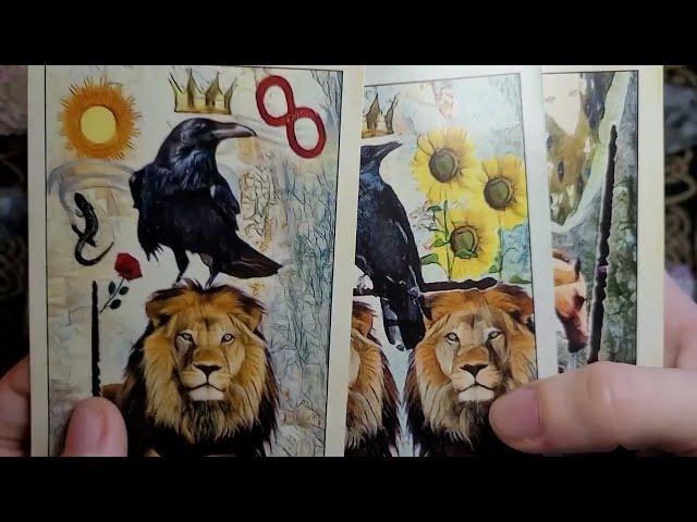 Tarot Review: Crow Tarot Review | Real vs. Fake