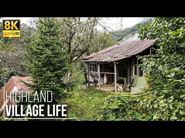 A Life of Happiness Away from Civilization in a Mountain Village - 8K | Mr Wild Nature