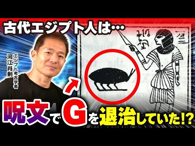 【驚愕】ゴキブリ退治の呪文があった!? 古代エジプトのトリビア4選（ミイラ・ツタンカーメン・呪い・歴史・遺跡・考古学・ミステリー）