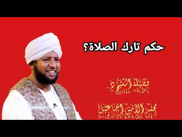 حكم تارك الصلاة _ الشيخ د.محمد الأمين إسماعيل