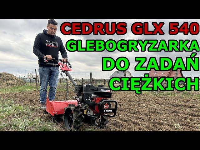 Glebogryzarka CEDRUS GLX 540 - Test Pracy, wady i zalety