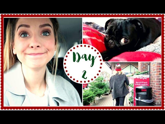 FESTIVE FOOD SHOPPING | VLOGMAS