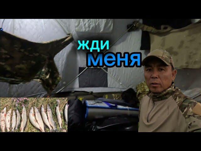 Попали под дождь.много комаров. но рыбалка удалась