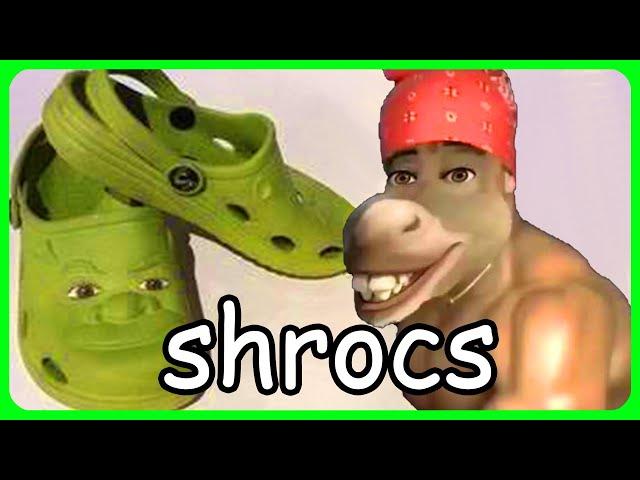 Shrek 2 explained by an idiot