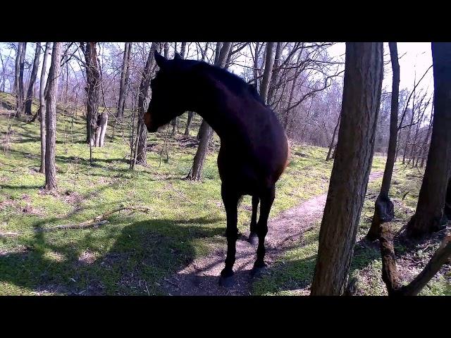Велопокатушка по острову Хортица , с Саней ФЭТБАЙКЕРОМ .