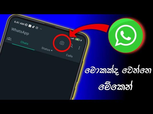 whatsapp new update | whatsapp tips | SL damiya | @SLdamiya | whatsapp tips and tricks 2023