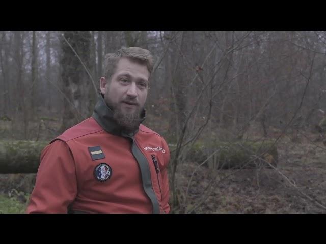 Découvrez les métiers de la filière forêt-bois : le métier de technicien forestier