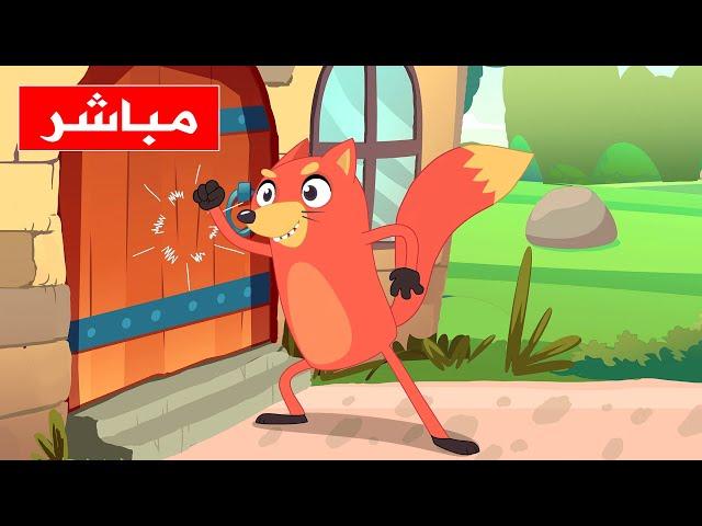 قناة أسرتنا مباشر | أغاني ثعلوب الأطفال |  Live | Osratouna TV