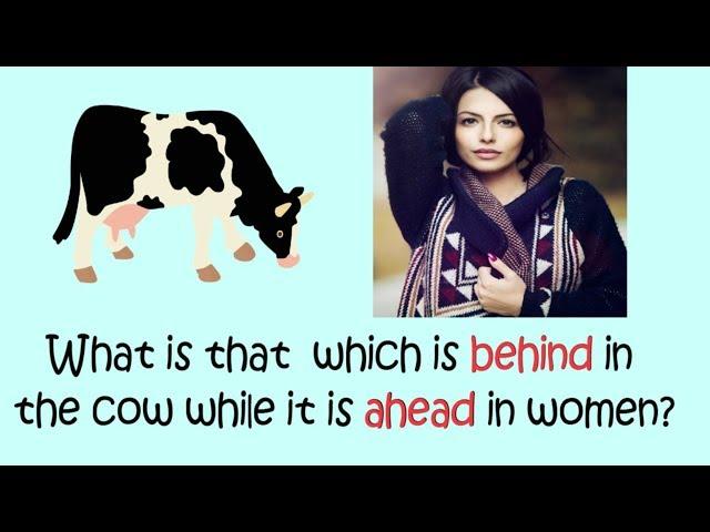 Common Sense Questions | Funny Questions In English | Puzzles In English | Riddles In English|