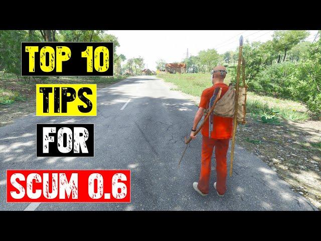 Top 10 Tips for Scum 0.6 - Learn to Survive