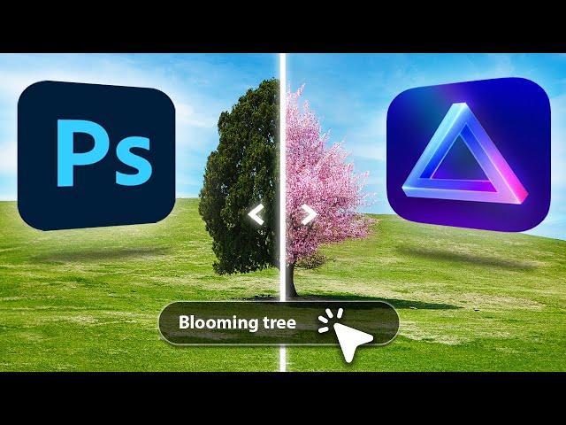 BATTLE OF THE A.I.: Photoshop vs. Luminar Neo