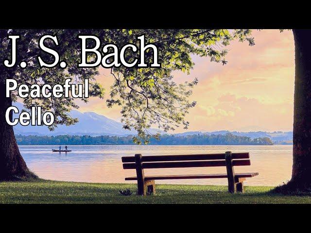 J. S. Bach Peaceful Cello Music CollectionㅣCello BGMㅣSoothing MusicㅣSleeping MusicㅣClassical Cello