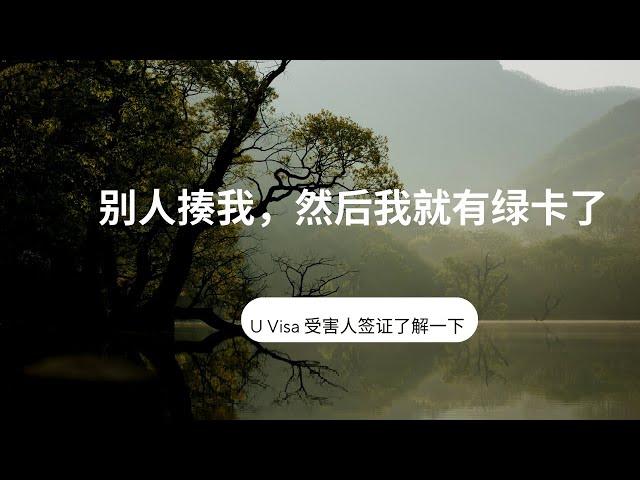 凭着挨揍拿到的绿卡，受害人绿卡(U Visa)了解一下？