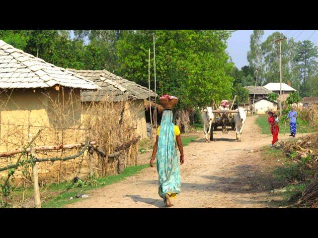 Village Life India Daily Routine Farmer || Real Life In UP Village || Rural Life India