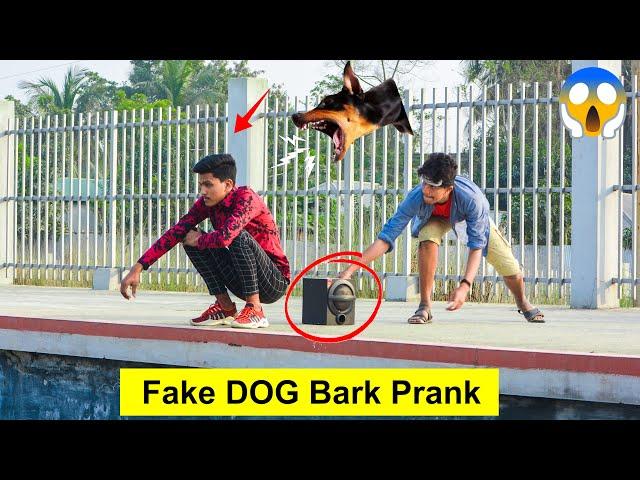 Fake Dog Bark Prank ‍ Funny Prank in India || 4-Minute Fun