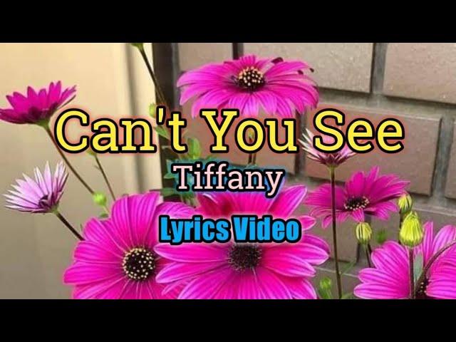 Can't You See - Tiffany (Lyrics Video)