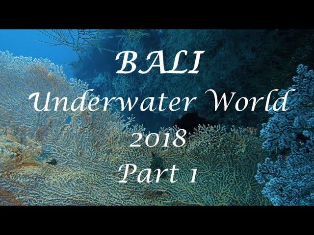 BALI 2018 part 1  - Underwater world - DIVING TULAMBEN