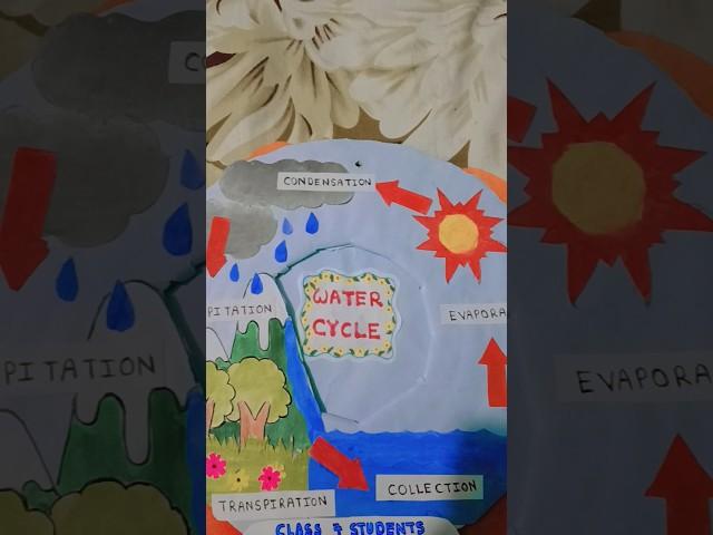 Our team geography project. #water cycle 3d model.#best 1st prize #easy art #viral#yt shorts#2025.