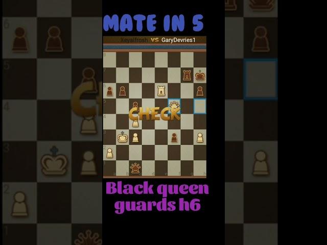 chess problem mate in 5