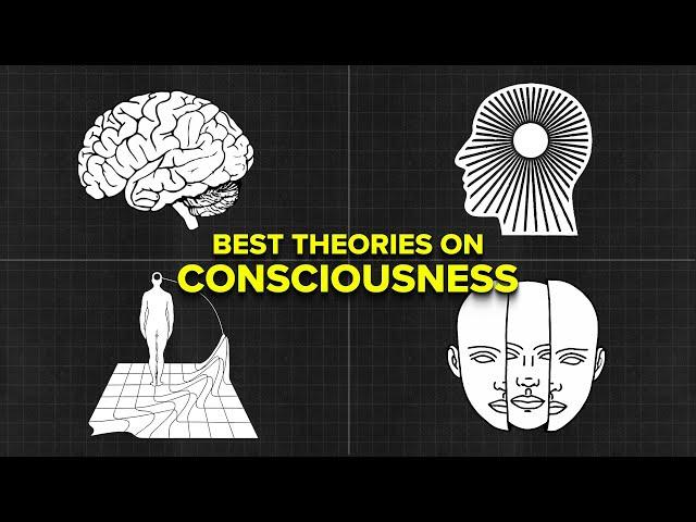 2+ Hours of Most Scientific Consciousness Theories to Fall Asleep to