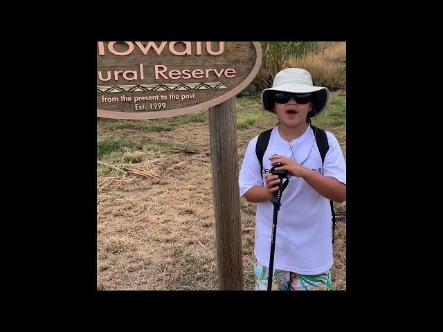 Olowalu Petroglyphs (MAUI, HI)