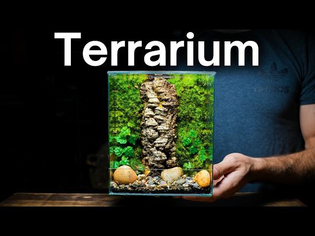 DIY Moss Wall Terrarium: Simple Beginner’s Guide