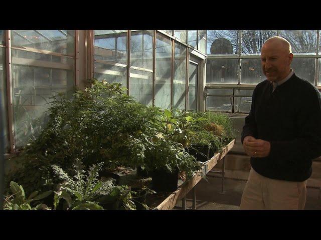 Career Profile: Weed Scientist | Bob Hatzler