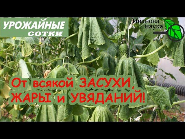 ЭТО ЧУДО! ЖИВОЙ БИОГИДРОГЕЛЬ своими руками - СПАСЕНИЕ от увядания, жары и засухи!