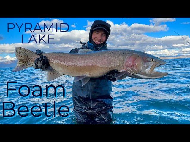 PYRAMID LAKE - Fly Fishing - 16 pound Cutthroat Trout!