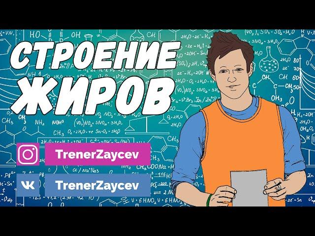 04. Классификация липидов