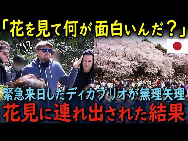 【海外の反応】「店で飲んだ方がいいだろ？」緊急来日したディカプリオを無理矢理花見に連れてきた結果…