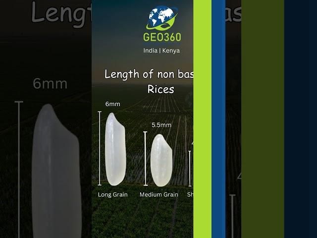 Length of Non Basmati Rice | Geo360 Agro Industries | #rice - #manufacturer | #export | #logistics