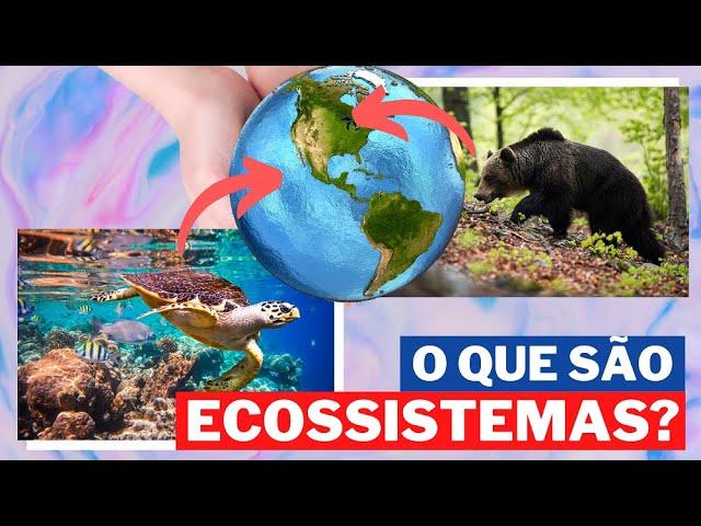 O QUE É ECOSSISTEMA? | ECOSSISTEMAS TERRESTRES E AQUÁTICOS