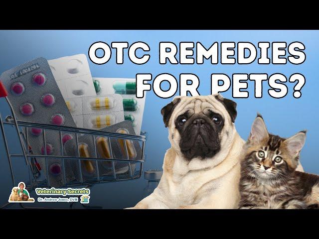 7 OTC Human Medications Safe and Effective for Dogs