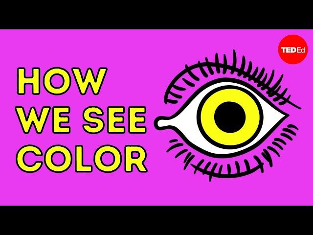 How we see color - Colm Kelleher