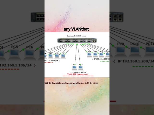 What is Cisco Management VLAN? #ccna  #ccie #ciscoccnp #cisconetworks #internetworks #cisco #juniper