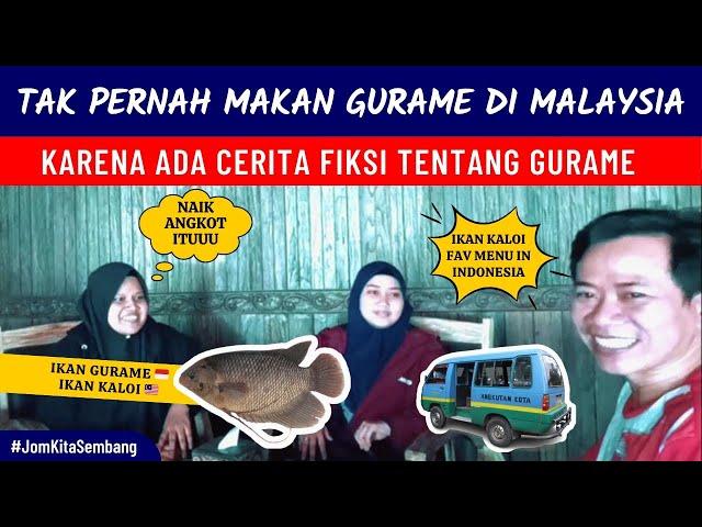 Cerita Fiksi Ikan Gurame di Malaysia 