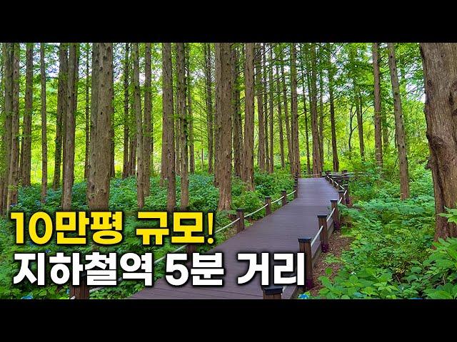 Best place where to stay in korea. Recommended by local Korean | Korea Travel