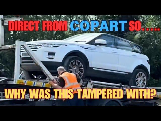 WE BOUGHT A RANGE ROVER EVOQUE FROM COPART WITH A BODGE REPAIR