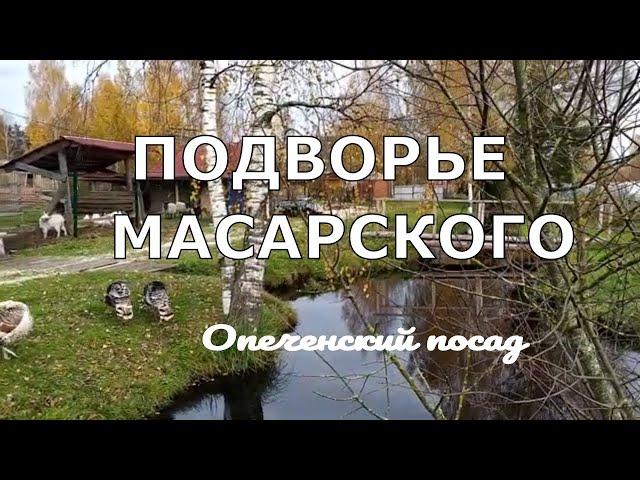 ЭКОТУРИЗМ в России. ОБЗОР МАСАРСКОГО ПОДВОРЬЯ. Путешествия по России/ Russia