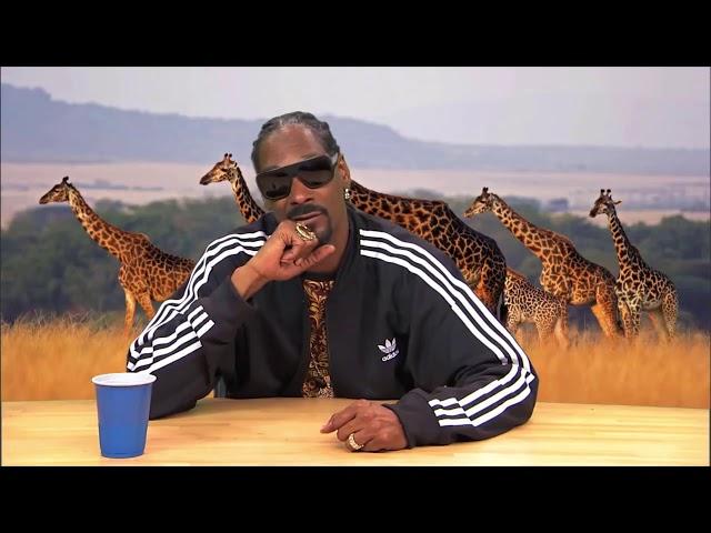 HILARIOUS! Snoop Dogg narrates Animal Planet Documentary