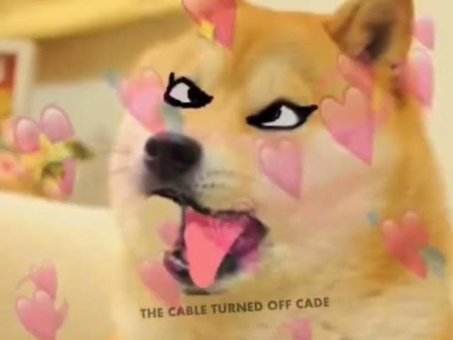 Strongest doge edit