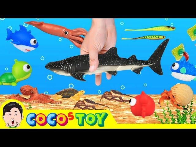 Let's have a party for sea animalsㅣsea animal names for childrenㅣCoCosToy